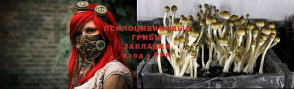 сатива Пестово