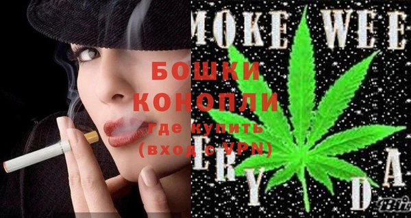 шишки Пересвет