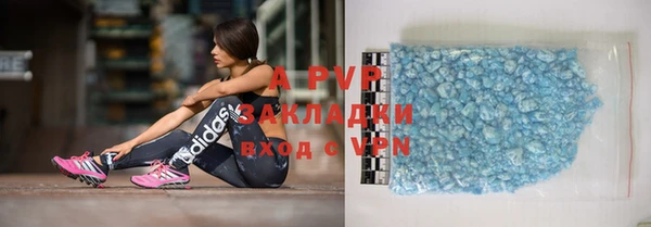 шишки Пересвет