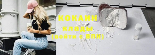 шишки Пересвет