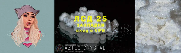 сатива Пестово