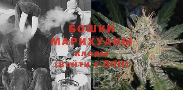 шишки Пересвет