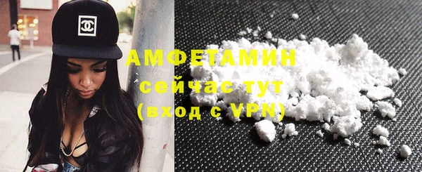 шишки Пересвет