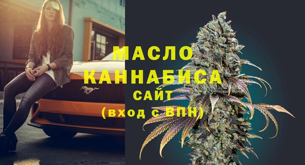шишки Пересвет