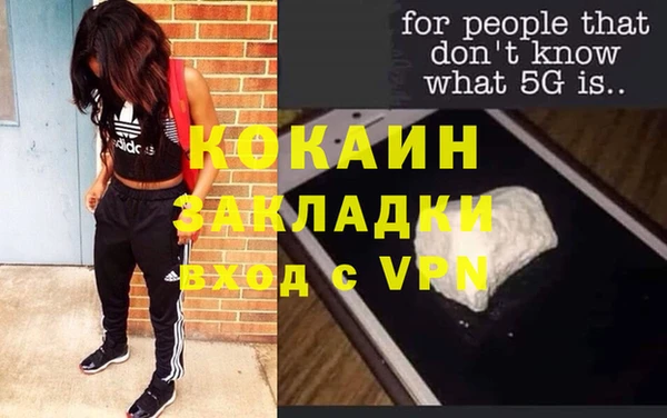 шишки Пересвет