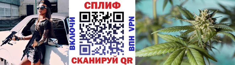 Каннабис OG Kush  Сибай 
